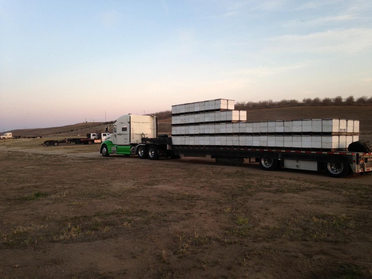 Herren fleet photo